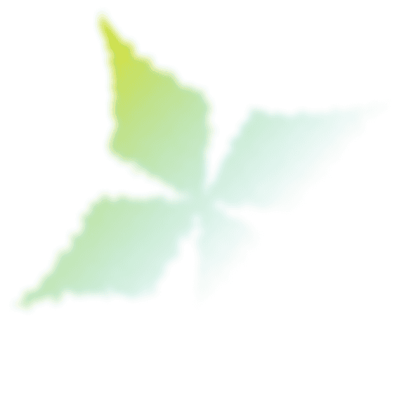 Icon Star