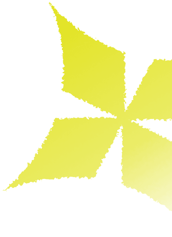 Icon Star