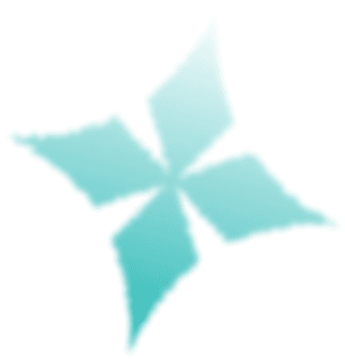 Icon Star