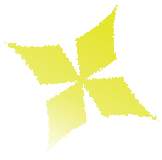 Icon Star
