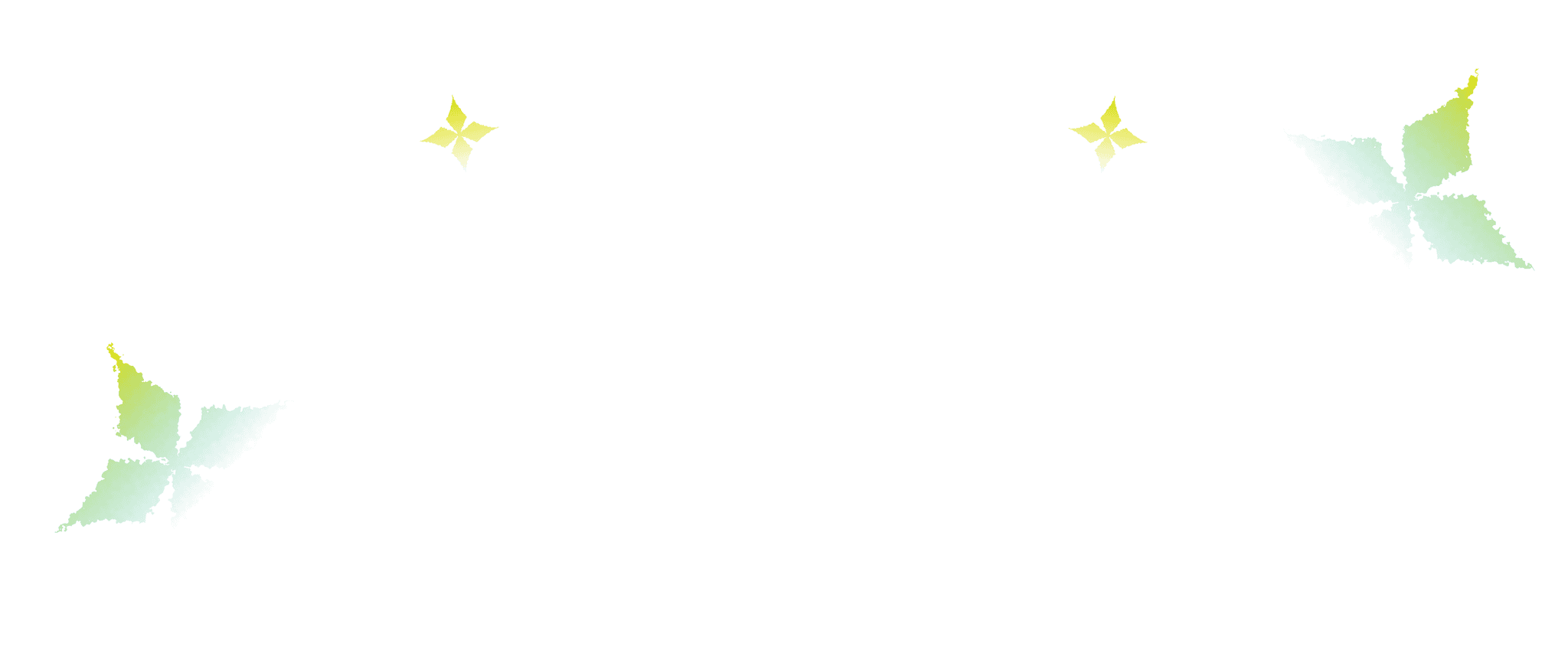 Star Decoration
