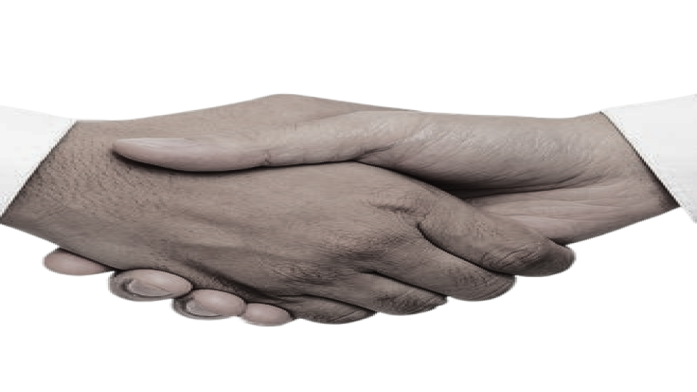 Partnership handshake